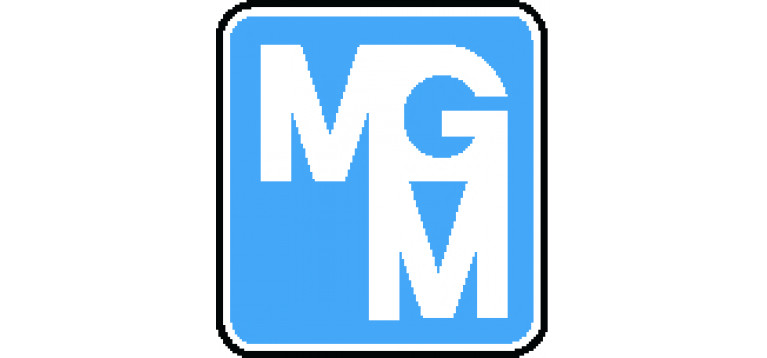 MGM Motori elettrici S.p.A.