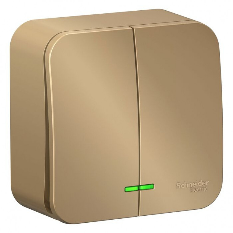 Выключатель 2-клавишный Schneider Electric BLANCA, с подсветкой, открытый монтаж, титан, BLNVA105114 Выключатель 2-клавишный Schneider Electric BLANCA, с подсветкой, открытый монтаж, титан, BLNVA105114