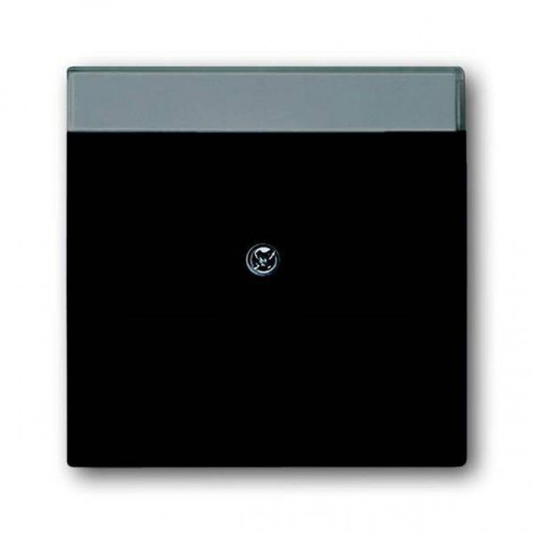 Накладка на розетку информационную ABB, черный бархат, 2CKA001710A3910