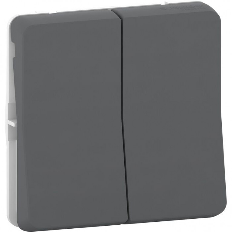 Переключатель 2-клавишный Schneider Electric MUREVA STYL, скрытый монтаж, антрацит, MUR35019