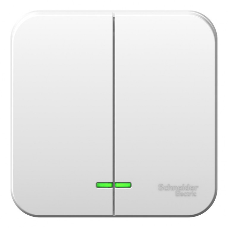 Выключатель 2-клавишный Schneider Electric BLANCA, с подсветкой, открытый монтаж, белый, BLNVA065121 Выключатель 2-клавишный Schneider Electric BLANCA, с подсветкой, открытый монтаж, белый, BLNVA065121