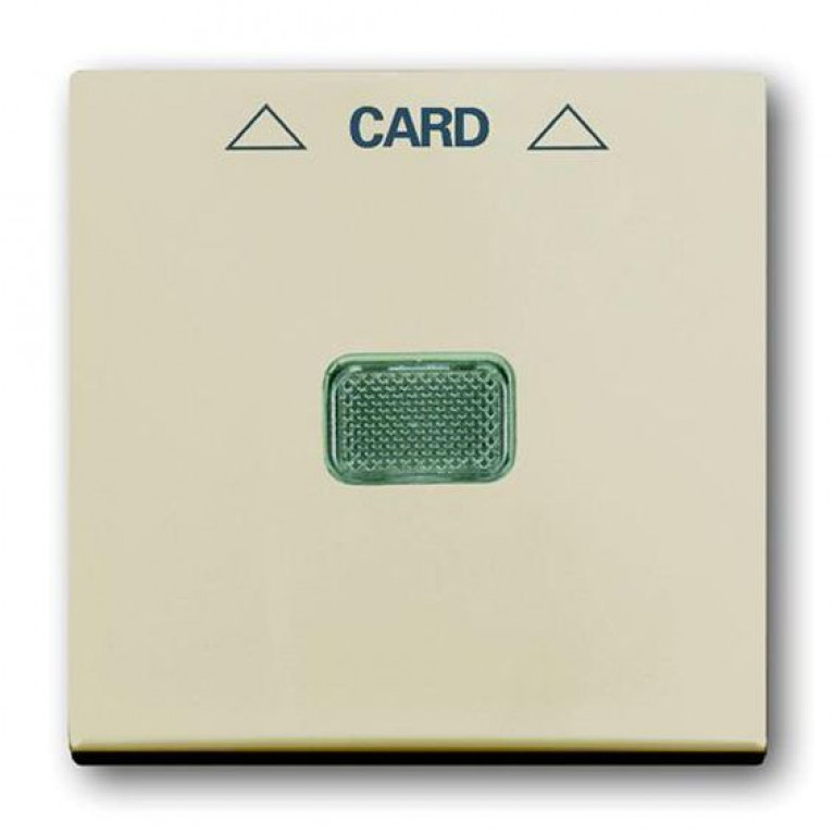 Накладка на карточный выключатель ABB BASIC55, слоновая кость, 2CKA001710A3865