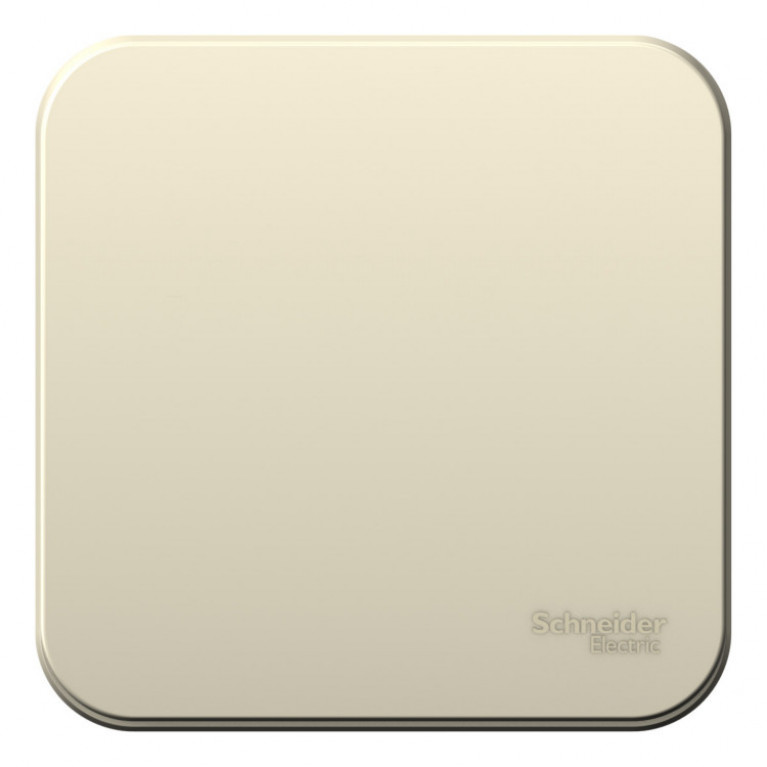 Переключатель 1-клавишный Schneider Electric BLANCA, открытый монтаж, молочный, BLNVA106012