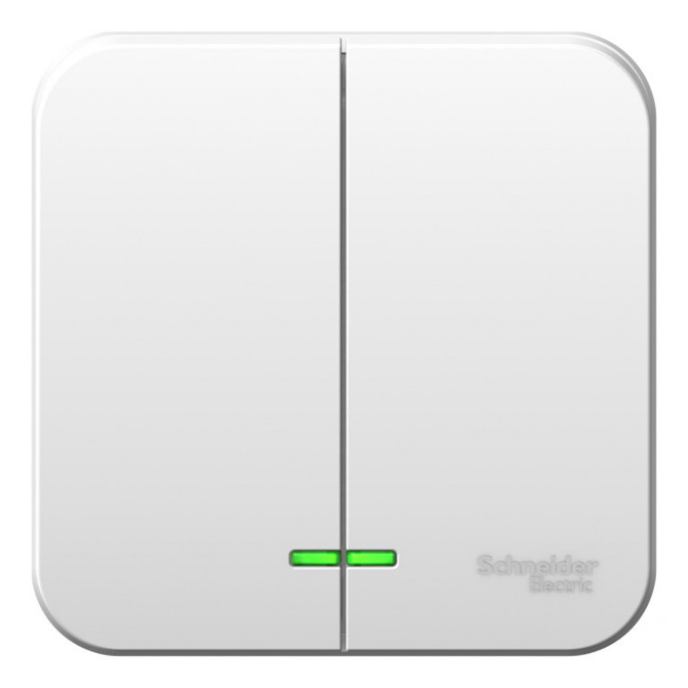 Выключатель 2-клавишный Schneider Electric BLANCA, открытый монтаж, белый, BLNVA065021