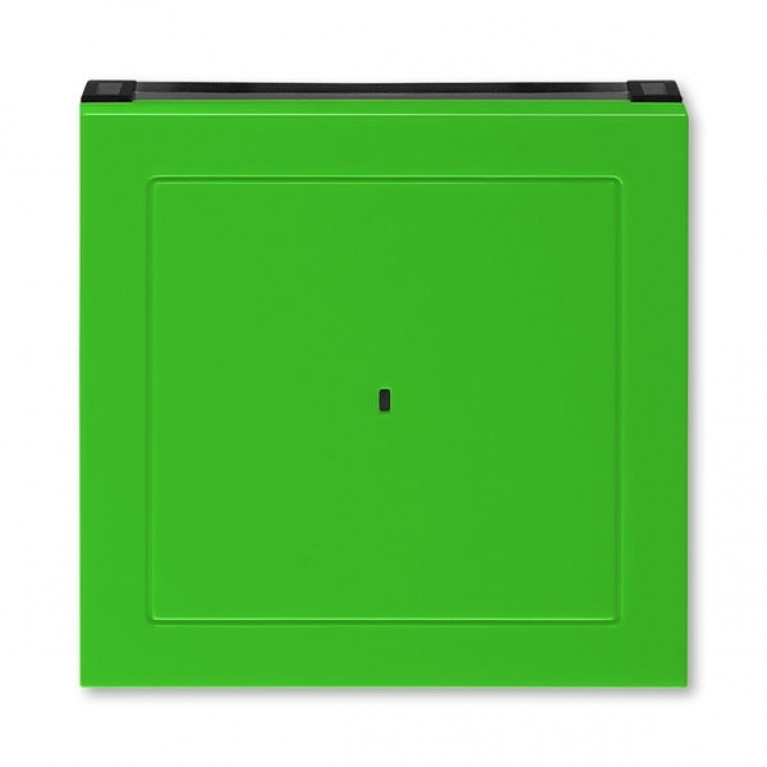 Накладка на карточный выключатель ABB LEVIT, зеленый // дымчатый черный, 2CHH590700A4067