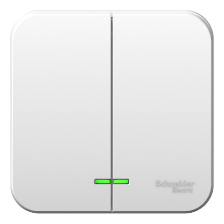 Выключатель 2-клавишный Schneider Electric BLANCA, с подсветкой, открытый монтаж, белый, BLNVA065111 Выключатель 2-клавишный Schneider Electric BLANCA, с подсветкой, открытый монтаж, белый, BLNVA065111