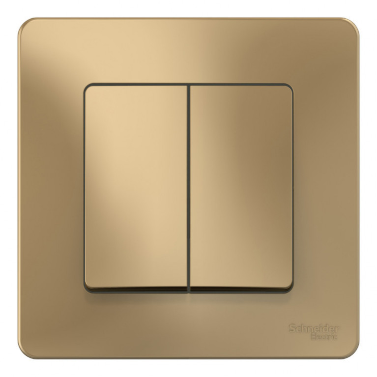 Переключатель 2-клавишный Schneider Electric BLANCA, скрытый монтаж, титан, BLNVS106604