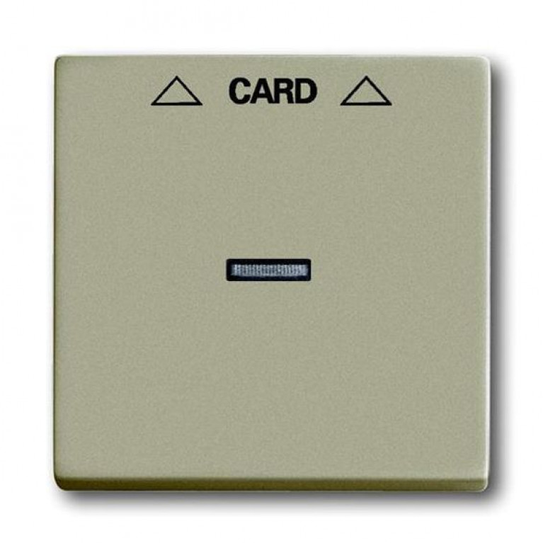 Накладка на карточный выключатель ABB BASIC55, шампань, 2CKA001710A3929