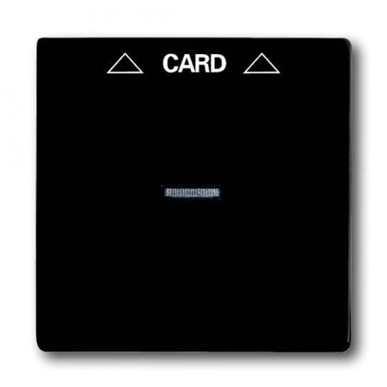 Накладка на карточный выключатель ABB BASIC55, château-black, 2CKA001710A3933